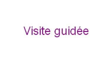 Visuel
