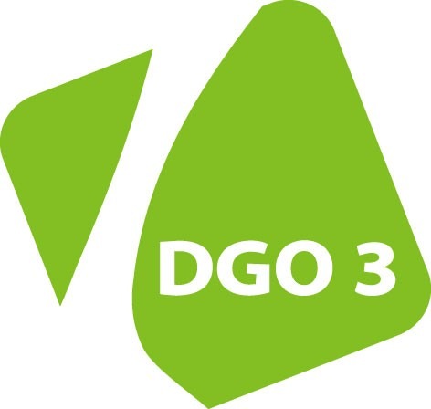 logo dgo3 juillet2010