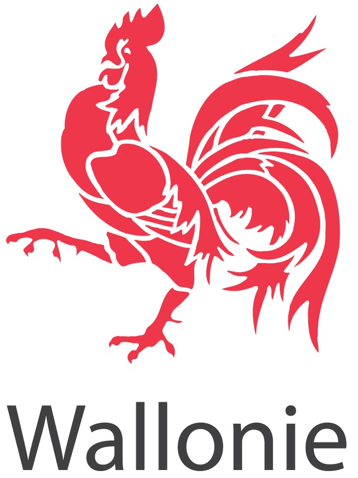 logo wallonie definitif 1